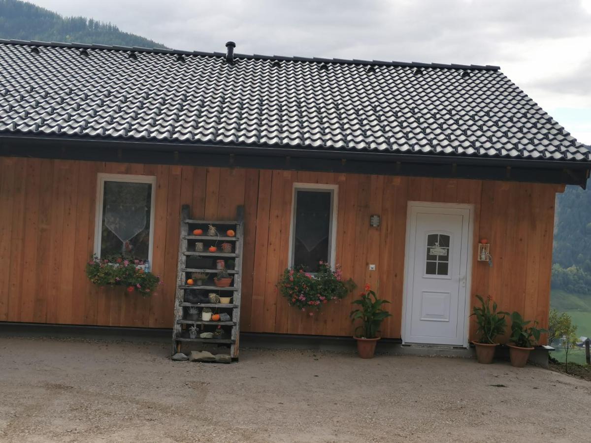 Bergblick Hollnhof Apartment Donnersbach Exterior foto
